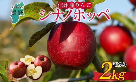 [26年発送 先行予約]長野県産 りんご シナノホッペ 訳あり 約2kg リンゴ 旬 フルーツ 訳アリ 林檎 果物 規格外 自家用 産地直送 農園 産直 お取り寄せ もぎたて 採れたて 送料無料 堀田農園 信州 大町市