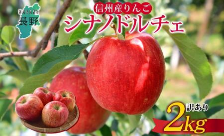 [26年発送 先行予約]長野県産 りんご シナノドルチェ 訳あり 約2kg リンゴ 旬 フルーツ 訳アリ 林檎 果物 規格外 自家用 産地直送 農園 産直 お取り寄せ もぎたて 採れたて 送料無料 堀田農園 信州 大町市