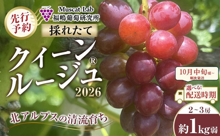 �y��s�\��zB�@2026  �N�C�[�����[�W��R�@2�[�`3�[�@��1�L���� �y2026�N10�����{���`���������\��z���쌧�Y�@���ۓ����L�@�엿�͔|