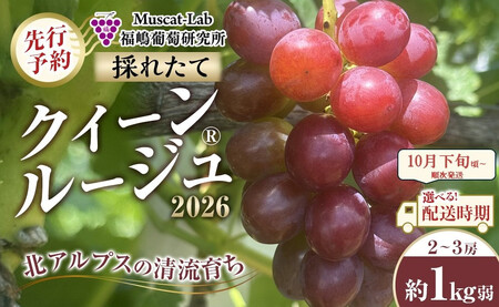 �y��s�\��zC�@2026  �N�C�[�����[�W��R�@2�[�`3�[�@��1�L����y2026�N10�����{���`���������\��z���쌧�Y�@���ۓ����L�@�엿�͔|