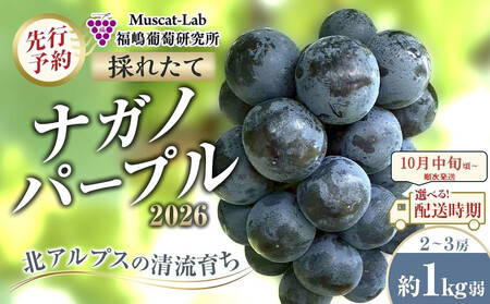 �y��s�\��zC�@2026�@�i�K�m�p�[�v���@2�[�`3�[�@��1�L����@���쌧�Y�y2026�N10�����{���`���������\��z���ۓ����L�@�엿�͔|