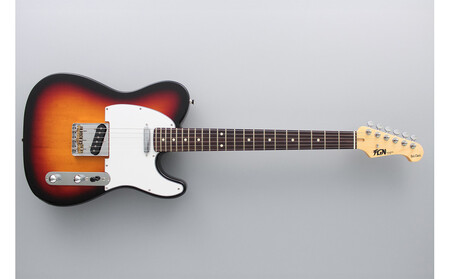 エレキギター BCTE100RBD-3TS (3トーンサンバースト)| フジゲン エレキギター