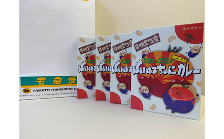 ばいはるちゃにカレーセット（4箱）