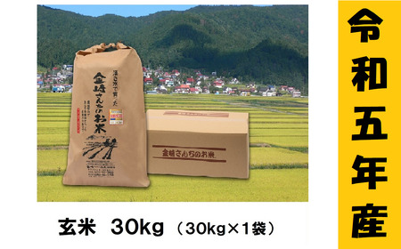 [令和5年産]「金崎さんちのお米」玄米30kg(5-16A)