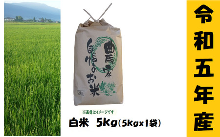 [令和5年産 ]奥信濃飯山〜木内ファームのお米〜 5kg(5-39A)