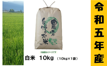 【令和5年産 】奥信濃飯山～木内ファームのお米～ 10kg(5-40A)