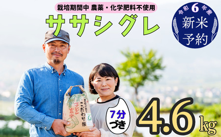 令和6年産 新米予約 [栽培期間中 農薬・化学肥料不使用]ササシグレ(7分づき)4.6kg真空包装(6-50)