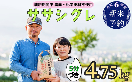 令和6年産 新米予約 [栽培期間中 農薬・化学肥料不使用]ササシグレ(5分づき)4.75kg真空包装(6-51)