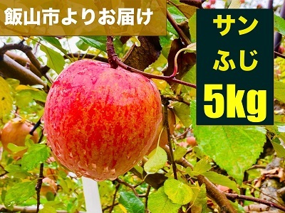 【先行予約】 サンふじ 約5kg（2024年産） (N-1.5)