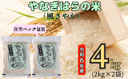 [令和6年産]「やなぎはらの米 風さやか」4kg(真空包装) (6-44A)