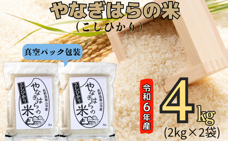 [令和6年産]「やなぎはらの米 こしひかり」4kg(真空包装) (6-43A)