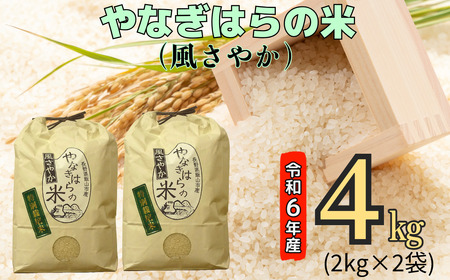 [令和6年産]「やなぎはらの米 風さやか」4kg (6-41A)