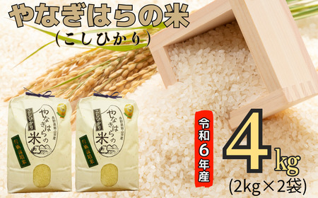 [令和6年産]「やなぎはらの米 こしひかり」4kg (6-39A)