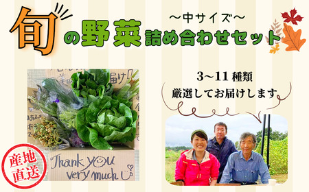 [期間限定]旬の野菜詰め合わせセット(中)(P-1.4)