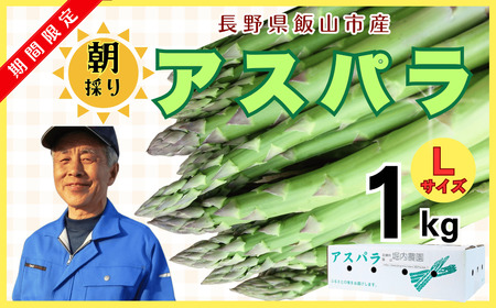 [先行予約]朝採り!露地栽培アスパラガス1kg(令和7年5月発送)[期間限定](E-1.15)