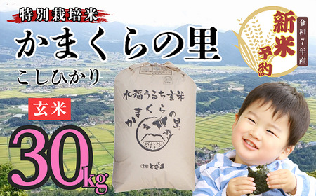 【先行予約】[令和７年産] 特別栽培米 「かまくらの里コシヒカリ」 玄米 30㎏ (7-3）