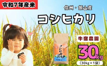 [ߘaVNYV] h_ MBюRYERVqJ  30s (7-29A)  R   쌧 MB юRs V ߘa7N Ђ Yn _ƒ