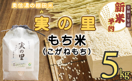 �y12��25�����ϕ��܂ŔN�������z ���ʍ͔|�� ������ �����˂����w ���M�Z�� �I�c�� ���̗� 5kg�x (7-24A) �b �� ������ �ӂ����� �������� ���_�� ���쌧 �юR�s