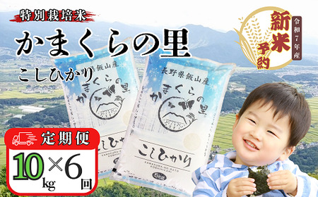 【先行予約】【定期便】[令和７年産 新米] 特別栽培米 「かまくらの里コシヒカリ」 精米 10kg×6回(7-5A)