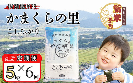 [先行予約][定期便][令和7年産 新米] 特別栽培米 「かまくらの里コシヒカリ」 精米 5kg×6回(7-4A)