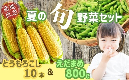 [先行予約]木内ファーム 夏の旬野菜(とうもろこし・枝豆)セット(2025年7月下旬発送〜) (7-A14)