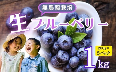 [先行予約]無農薬 完熟ブルーベリー姫[生]1kg(2025年7月より発送) (7-A15)