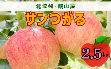 [先行予約]サンつがる[約2.5kg(6?9玉)](7-A19-1)
