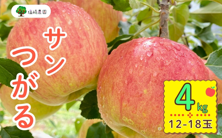【先行予約】 サンつがる 【約4kg(12-18玉)】 (7-A19-2) 長野県 飯山市 おすすめ ランキング おいしい 高評価 大人気 りんご サンつがる サンつがる サンつがる サンつがる