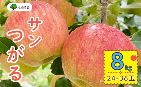 【先行予約】 サンつがる 【約8kg(24-36玉)】 (7-A19-3) 長野県 飯山市 おすすめ ランキング おいしい 高評価 大人気 りんご サンつがる サンつがる サンつがる サンつがる