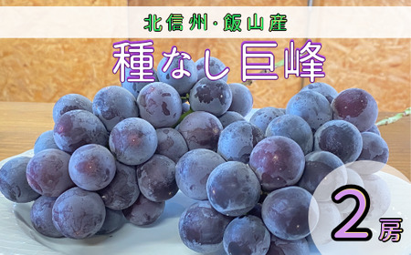 [先行予約]種なし巨峰(2房)(7-A20)