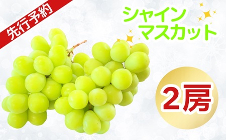 [2025先行予約]シャインマスカット 2房 [2025年9月上旬から出荷] (7-A21) 長野県 飯山市 おすすめ ランキング おいしい 高評価 大人気 シャインマスカット 