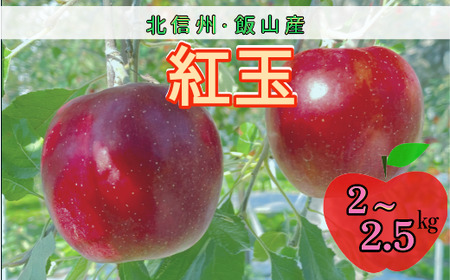 [先行予約]紅玉(こうぎょく)[約2〜2.5kg(9?14玉)](7-A22)