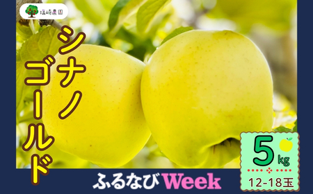 [ふるなびWEEK対象][先行予約] シナノゴールド 5kg (12-18玉)[2025年10月下旬より発送]長野県 信州 飯山市 おすすめ ランキング おいしい 高評価 大人気 リンゴ りんご シナノゴールド (7-A25-2)