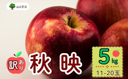 【先行予約】 【訳あり】 秋映 （あきばえ） 【約5kg(11-20玉)】 規格外 (7-A26-2) 長野県 飯山市 おすすめ ランキング おいしい 高評価 大人気 訳あり 規格外 不揃い リンゴ りんご 秋映 秋映 秋映 秋映