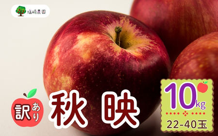 【先行予約】 【訳あり】 秋映 （あきばえ） 【約10kg(22-40玉)】 規格外 (7-A26-3) 長野県 飯山市 おすすめ ランキング おいしい 高評価 大人気 訳あり 規格外 不揃い リンゴ りんご 秋映 秋映 秋映 秋映