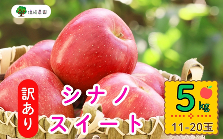 [先行予約] [訳あり] シナノスイート [約5kg(11-20玉)] 規格外 (7-A27-2) 長野県 飯山市 おすすめ ランキング おいしい 高評価 大人気 訳あり 規格外 不揃い リンゴ りんご シナノスイート 