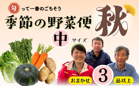 [先行予約]〜旬っていちばんのごちそう〜ひぐらし農場 季節の野菜便(秋)中サイズ(7-A37)