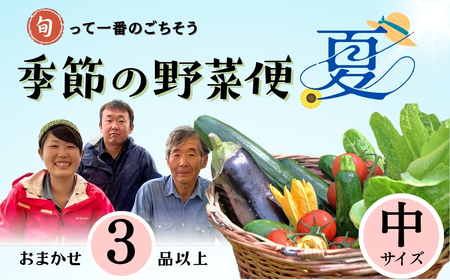 [期間限定]〜旬っていちばんのごちそう〜ひぐらし農場 季節の野菜便(夏)中サイズ(7-A35)