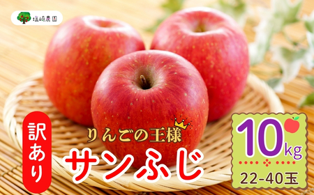 ys\z y󂠂zTӂ 10kg (22-40ʁji2025N12{甭j (7-A39-3)  쌧 юRs  LO  ] lC  S ӂ