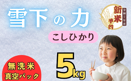 [先行予約][令和7年産 新米] 雪下の力 こしひかり 無洗米 5kg 真空パック(7-51) 長野県 飯山市 おすすめ ランキング おいしい 高評価 大人気 こしひかり 無洗米 