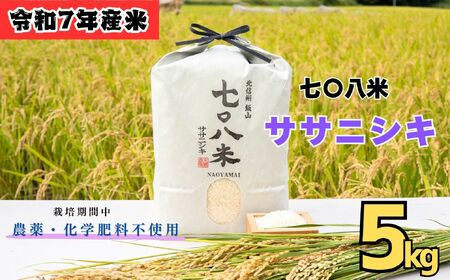 [令和7年産 新米] 七〇八米 ササニシキ 精米 5kg [栽培期間中 農薬・化学肥料不使用] (7-83) お米 コメ 白米 ご飯 長野県 信州 飯山市 新米 令和7年 ささにしき 産地直送 農家直送 無農薬