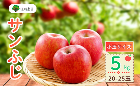 ys\zTӂ  5kg (20?25ʁji2025N12{甭j Tӂ     D] (7-A42-2)