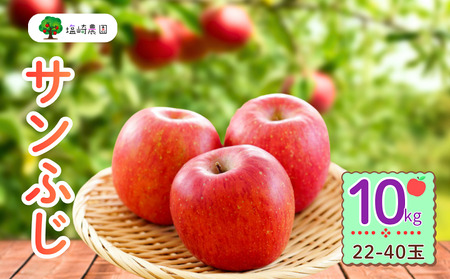 ys\zTӂ 10kg (22?40ʁji2025N12{甭j Tӂ    D] (7-A41-3)