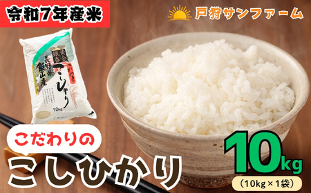 ʌ!!yߘa7NY Vāz ˎTt@[ Ђ  10kg (10kg×1) (7-84)