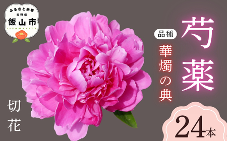 芍薬 切花 〜華燭の典〜 24本セット[2026年5月上旬より出荷](Ca-002)