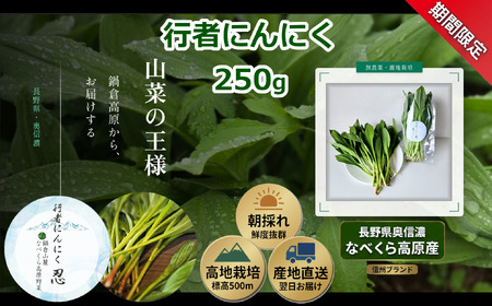[期間限定]行者にんにく 忍 250g入り 1箱(35枚〜40枚)[出荷時期:2026年5月上旬頃〜]株式会社ForestDoor (Ce-011)