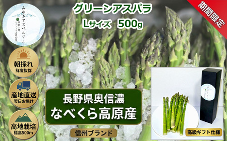 [期間限定]アスパラガス みゆきアスペルジュ Lサイズ 500g入り(12〜14本) [出荷時期:2026年5月中旬頃〜]株式会社ForestDoor (Ce-002)