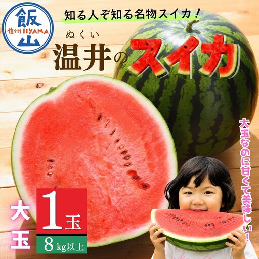 [数量限定] スイカ 大玉 1玉(8kg以上)(Cj-001)スイカ