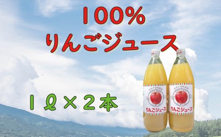 信州100%リンゴジュース(1L瓶×2本)(A-06)