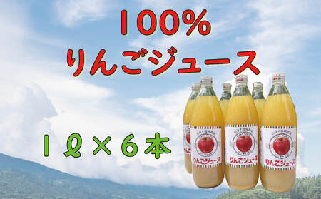 信州100%リンゴジュース(1L瓶×6本)(D-1.4)